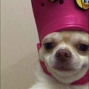 Meet your Posher, Jacob